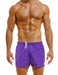 Swimwear Modus Vivendi Candy Line Woven Bermuda Swim-Shorts Purple DS2233