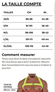 TOF PARIS Glitter Bulldog Elastic Harness Lurex Trim H - Shaped Sparkle Silver 535