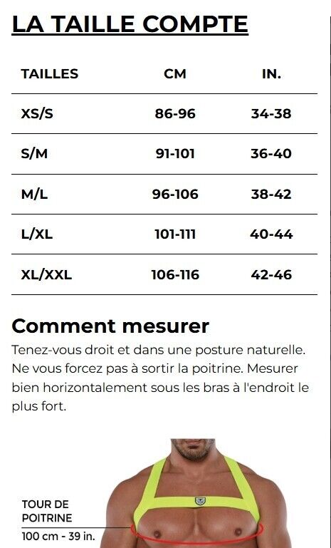 TOF PARIS Glitter Bulldog Elastic Harness Lurex Trim H - Shaped Sparkle Silver 535