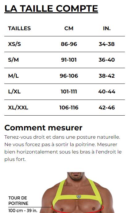 TOF PARIS Lurex H-Harness Magic Elasticated Party H-Shaped in Shiny Gold