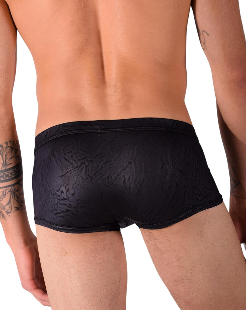 XS Gregg Homme City limit Boxer Brief 122705 2