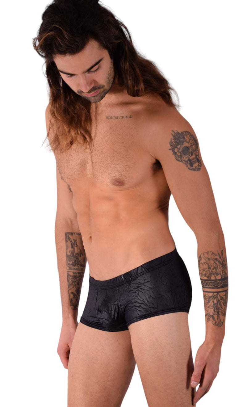 XS Gregg Homme City limit Boxer Brief 122705 2