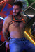 2XL/3XL BREEDWELL Nightcrawler Harness REVERSIBLE Rubberized Orange 21 - SexyMenUnderwear.com
