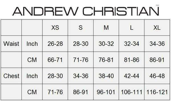 Andrew Christian Brief Black Collection Briefs Heat Striped Slip Gray 91156 35 - SexyMenUnderwear.com