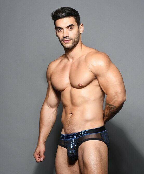 Andrew Christian Brief Massive Sexy Slip Briefs Leopard Sheer 91614 26 - SexyMenUnderwear.com