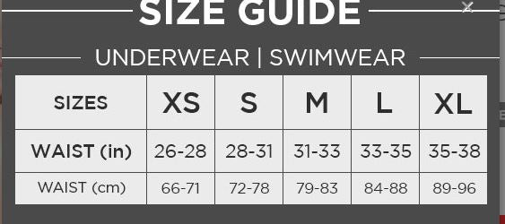 Andrew Christian Briefs Sheer Leopard Mesh Brief See-Thru Fabric 92556 23 - SexyMenUnderwear.com