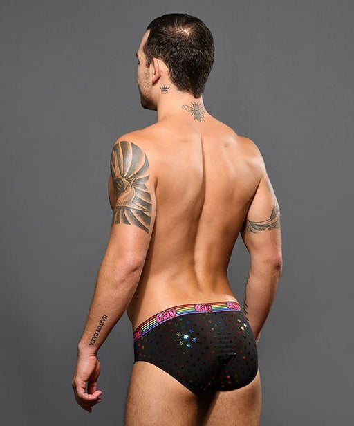 Andrew Christian Gay Stars Brief Show Your Pride Signature Briefs 92195 43 - SexyMenUnderwear.com