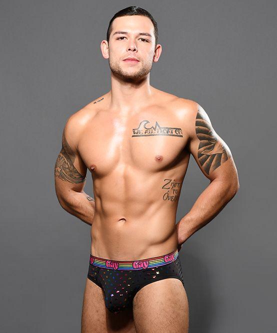 Andrew Christian Gay Stars Brief Show Your Pride Signature Briefs 92195 43 - SexyMenUnderwear.com