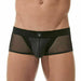 Boxer Gregg Homme Avant-Garde Back Mesh Trunk Fishnet Black 160405 92 - SexyMenUnderwear.com
