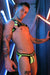 BREEDWELL Daycrawler Bulldog Harness Chrome Buckles Rubberized Chevron Neon Yellow - SexyMenUnderwear.com