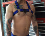 BREEDWELL HARNESS VOYEUR WITH REMOVABLE CENTER O-RINGS STRAP BLUE 29 - SexyMenUnderwear.com