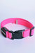 BREEDWELL Pink Neon Collar POUNDTOWN LED-9 Colors Soft Knit Laser-Cut Leather - SexyMenUnderwear.com