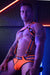 BREEDWELL Reflector Bulldog Body Harness Iridescent FOIL Stripe Orange Neon - SexyMenUnderwear.com
