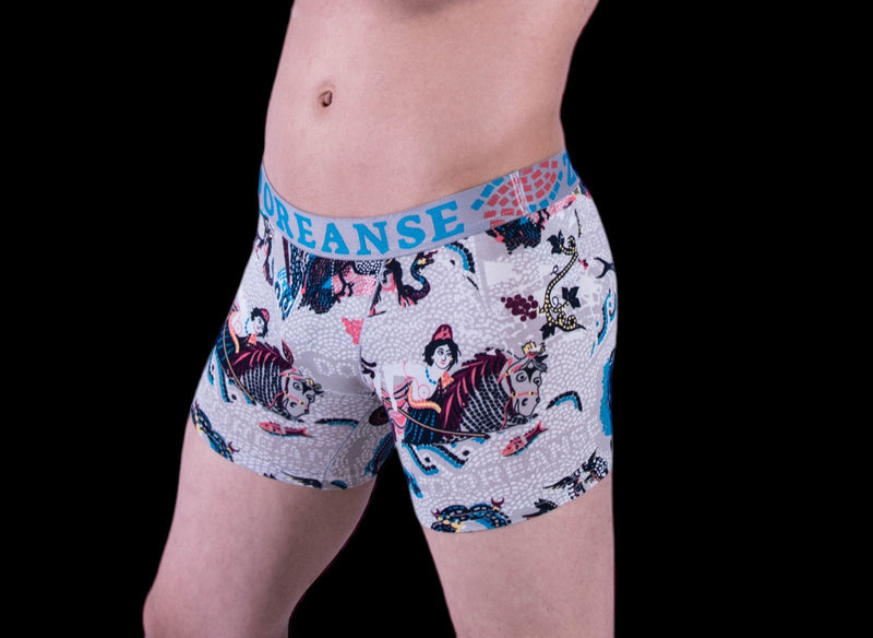 DOREANSE Boxer Poseidon Long Mens Boxers Trunk 1806 8 - SexyMenUnderwear.com