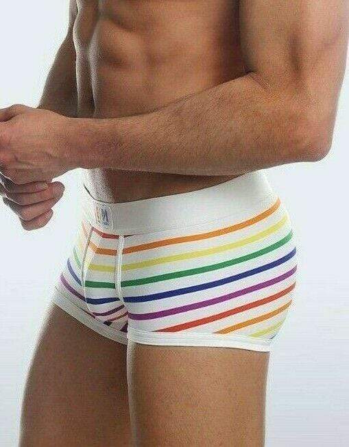 Pride Underwear Rainbow Boxer Briefs 