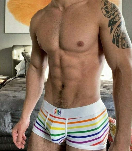 https://sexymenunderwear.com/cdn/shop/products/garcon-model-boxer-trunk-chelsea-gay-pride-underwear-rainbow-2-774524_512x587.jpg?v=1705327379
