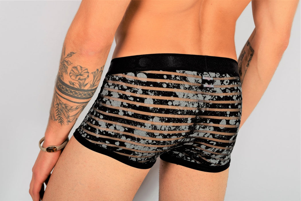 Gregg Homme 3G Luxury Mini Boxers Brief See through 1932 3G12 —