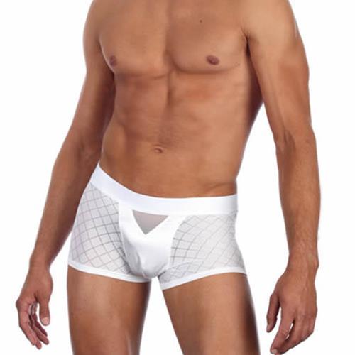 Gregg Homme Activ Boxer Brief Silky White 76305 1 - SexyMenUnderwear.com