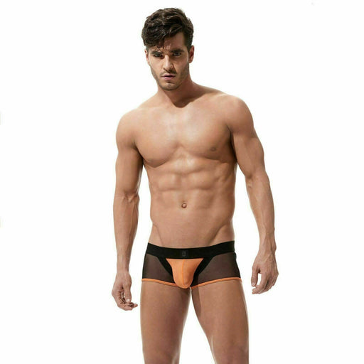 Gregg Homme Avant-Garde Boxer Back Mesh Trunk Fishnet Orange160405 92A - SexyMenUnderwear.com