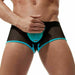 Gregg Homme Boxer Avant-Garde Trunk Fishnet Mesh Aqua 160405 92A - SexyMenUnderwear.com