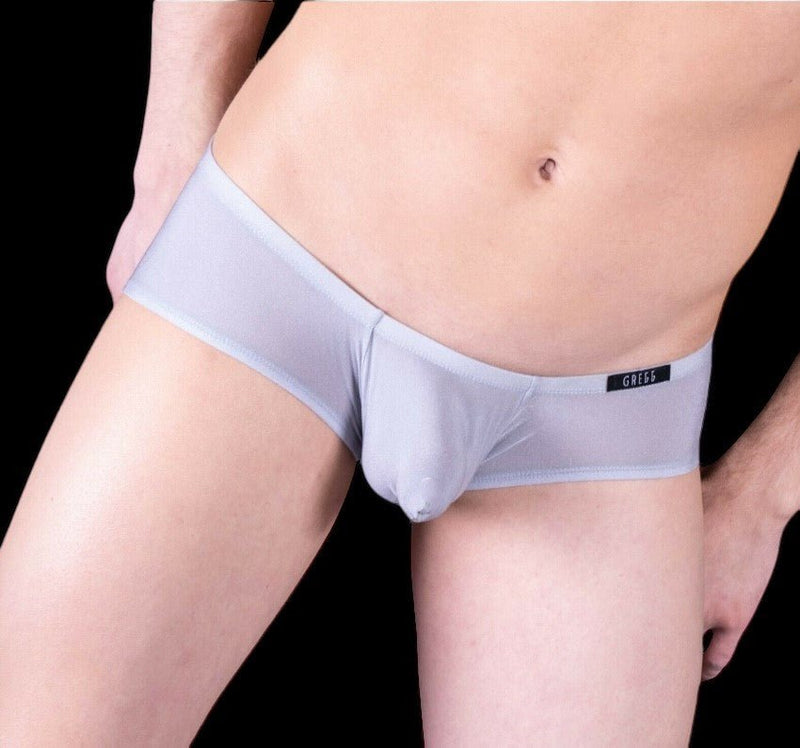 Gregg Homme Boxer Brief Torridz Super Elastics Fabric Silver 87405 5 - SexyMenUnderwear.com