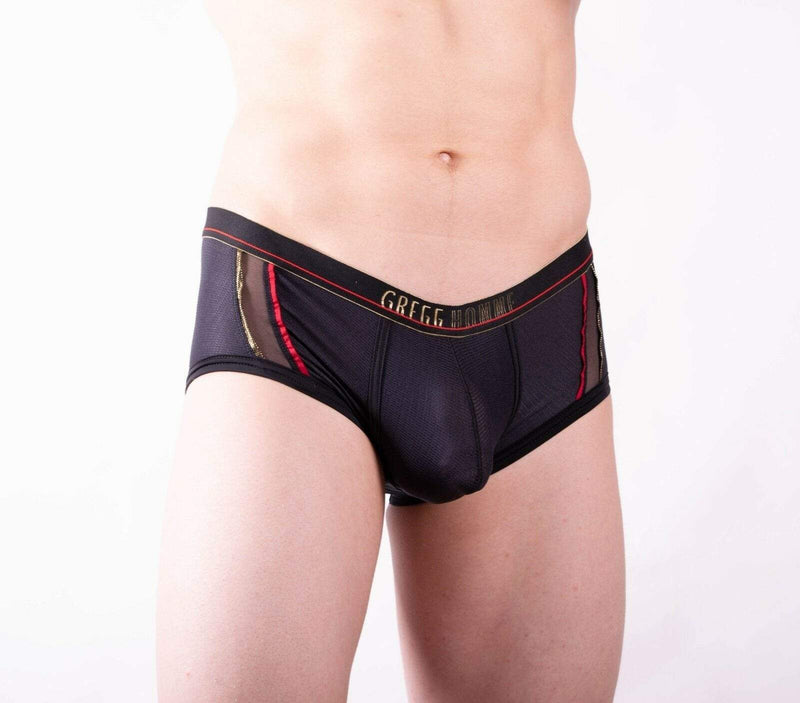 Gregg Homme Boxer Brief Traveler With Mesh Panel Black 132005 67 - SexyMenUnderwear.com