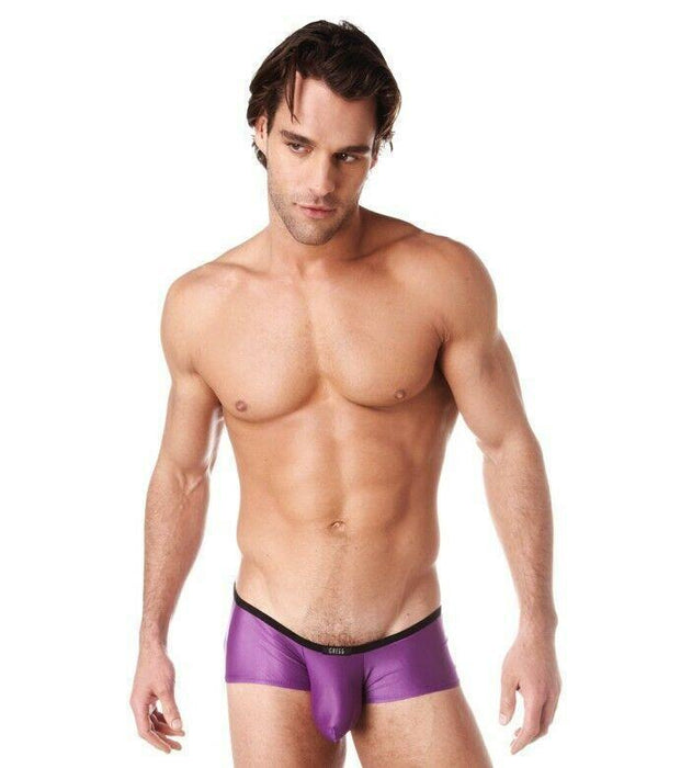 Gregg Homme Boxer Brief Voyeur Liquid Touch Purple 100605 38 - SexyMenUnderwear.com