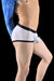 Gregg Homme Boxer Briefs Gentlemen Semi-Sheer 140005 4 - SexyMenUnderwear.com