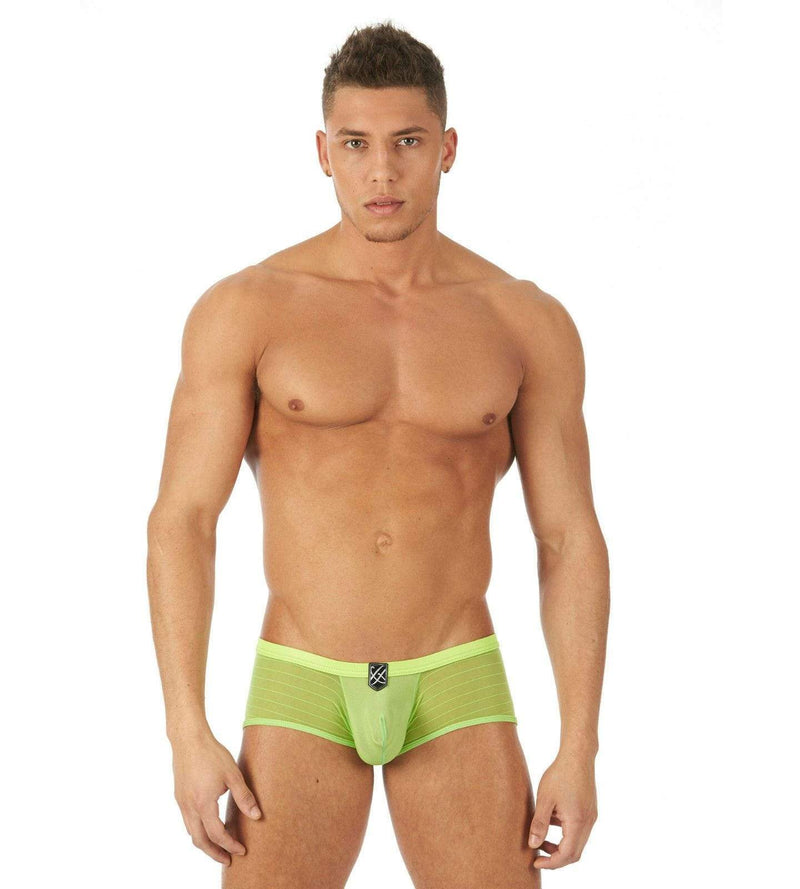 Gregg Homme Boxer Briefs SHOWOFF See-through Micro Fibre Lime 121505 104 - SexyMenUnderwear.com