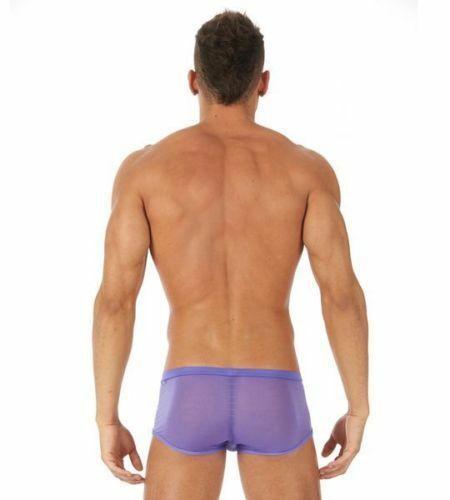 Gregg Homme Boxer Briefs ShowOff See-through Sensual Undies Purple 121505 105 - SexyMenUnderwear.com