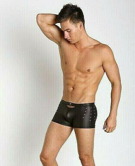 Gregg Homme Boxer Lure Leather Look Fetish Boxer Brief 130505 83 - SexyMenUnderwear.com