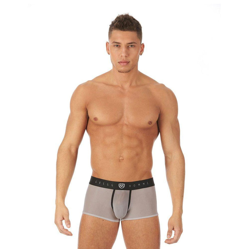 Gregg Homme Boxer Trunk Torridz Silver 87465 14 - SexyMenUnderwear.com