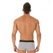 Gregg Homme Boxer Trunk Torridz Silver 87465 14 - SexyMenUnderwear.com