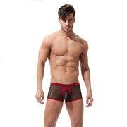 Gregg Homme Boxer X-Rated Maximizer Red 85005 100 - SexyMenUnderwear.com
