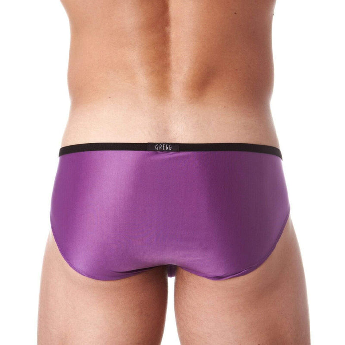 Gregg Homme Brief Voyeur HyperStretch Soft Purple 100603 51 - SexyMenUnderwear.com
