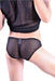 Gregg Homme Briefs 3G Catch Me micro speedo Low-cut brief 1824 14 - SexyMenUnderwear.com