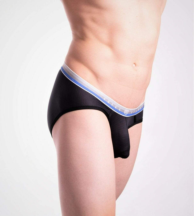 Gregg Homme Briefs Beau Semi-Sheer AirJet Underwear Black 130903 66 - SexyMenUnderwear.com