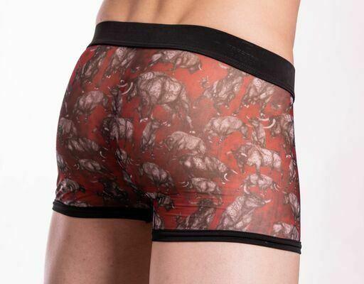 Gregg Homme Charger see-through Sheer Maxi Boxer Bull Small To Medium HS05 130 - SexyMenUnderwear.com