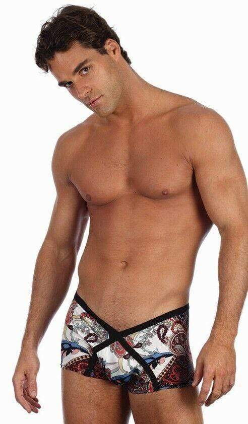 GREGG HOMME Gregg Homme Mens Underwear Havana Mens Boxer Nice Design Fashion 77005 XS 4