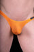 Gregg Homme Thong Torridz Fashion Undergear Silky Fabric Orange 87404 22 - SexyMenUnderwear.com