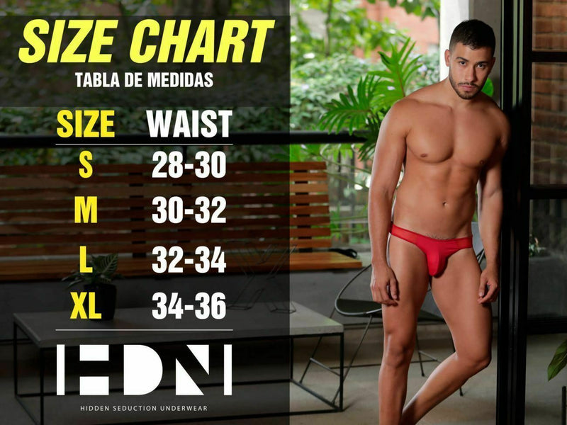 HIDDEN Garterbelt Mesh Briefs Sexy lingerie For Men Black 953 5 SexyMenUnderwear.com HIDDEN Garterbelt Mesh Briefs Sexy lingerie For Men Black 953 5 SexyMenUnderwear.com