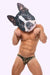 JJ Malibu CAMO Sexy Mens Mini Brief 13 - SexyMenUnderwear.com