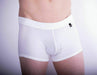 LARGE Gregg Homme Trunk Boytoy White 95055 148 - SexyMenUnderwear.com