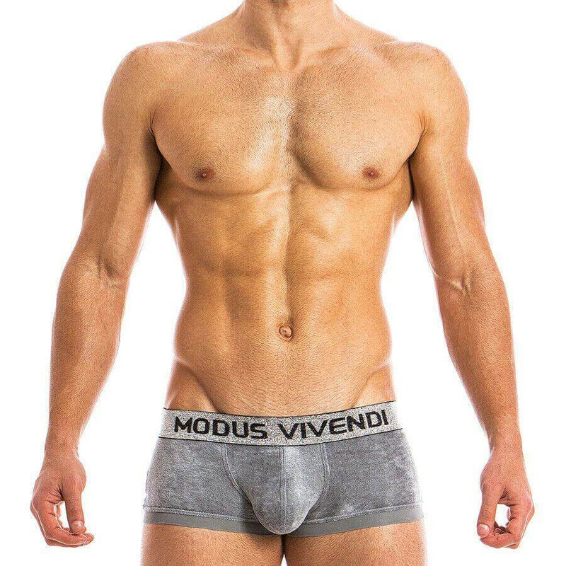 Medium Boxer Brief Modus Vivendi X-Lux Velvet Micro modal Luxury Grey 19821 47 - SexyMenUnderwear.com