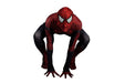 Men Spiderman Black Jumpsuit Delux Cosplay Costume 3101  1