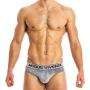 Modus Vivendi Brief X-Lux Bottomless Velvet jock BackLess Grey 19812 47 - SexyMenUnderwear.com