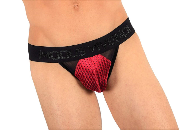 Modus Vivendi Tanga Brief Mesh Tiffany's Velvet Briefs Red Wine 12013 29 - SexyMenUnderwear.com