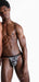 Modus Vivendi Thongs Zebra Animal Print 14919 43 - SexyMenUnderwear.com