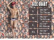 PIKANTE Harness HOT Briefs Low-Rise Stretch See-Through Brief Black 0495 3 - SexyMenUnderwear.com