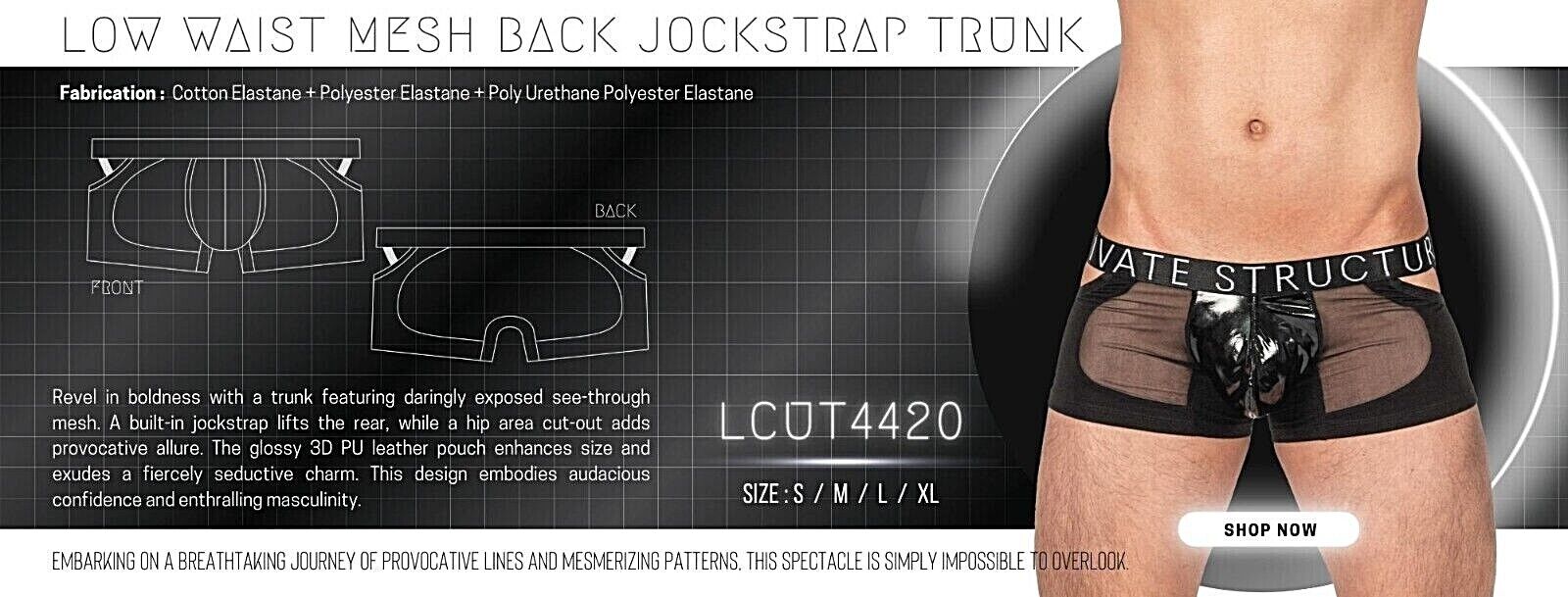 PRIVATE STRUCTURE Alpha Low Waist Mesh Built-In Jockstrap Black 4420 - SexyMenUnderwear.com